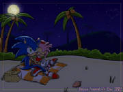 sonamybeachbyangel.jpg